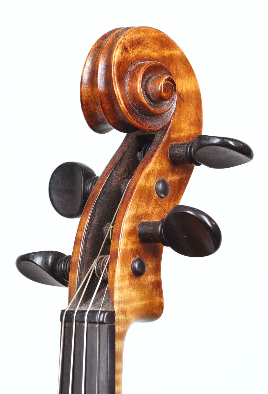 Violin #49 by Dudley Reed, 1950