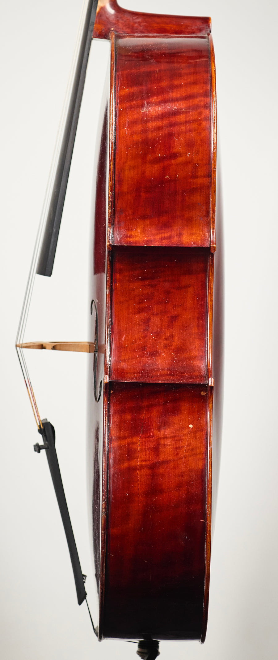 A French Cello Attributed to Paul Bisch, 1953.