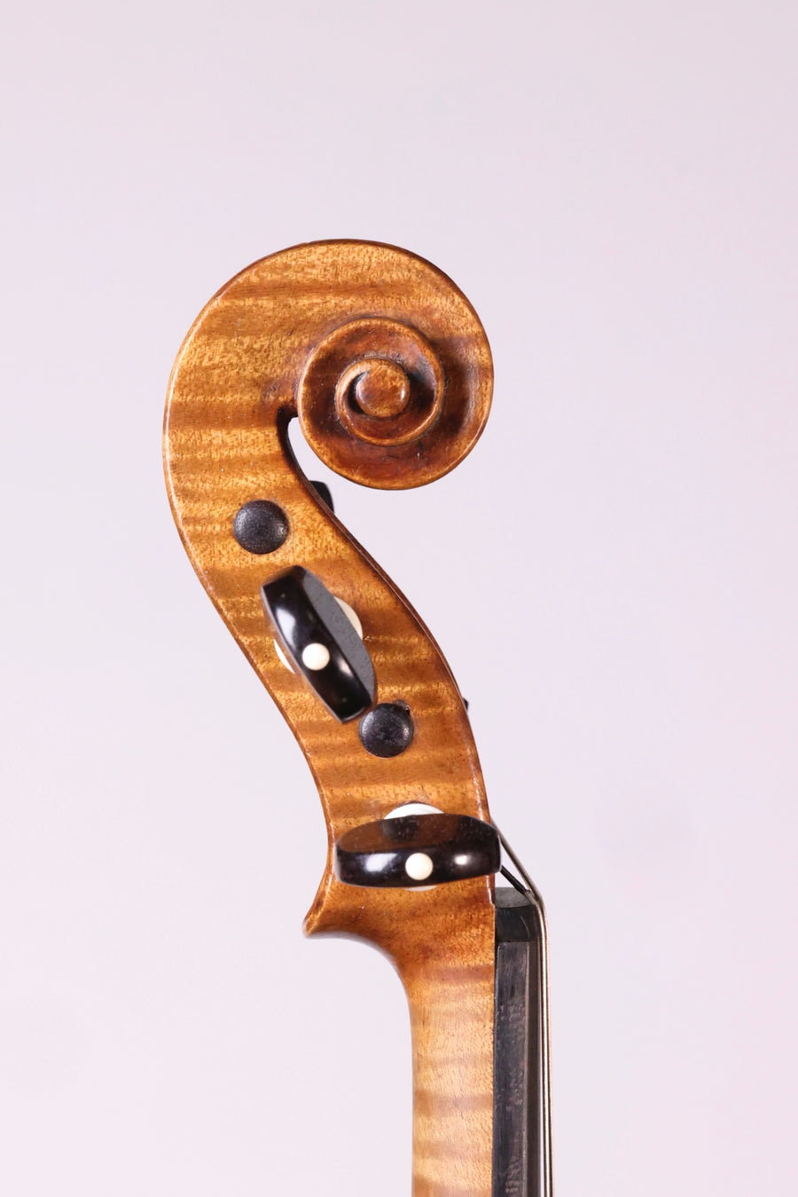 A Fine Argentinian-Italian Violin By Dante Baldoni, 1909.