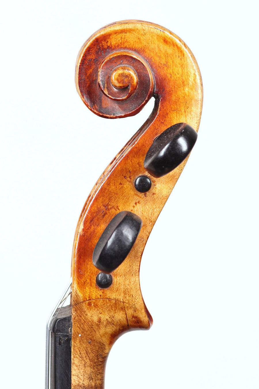 Circa 1900 7/8 Violin from Schonbach