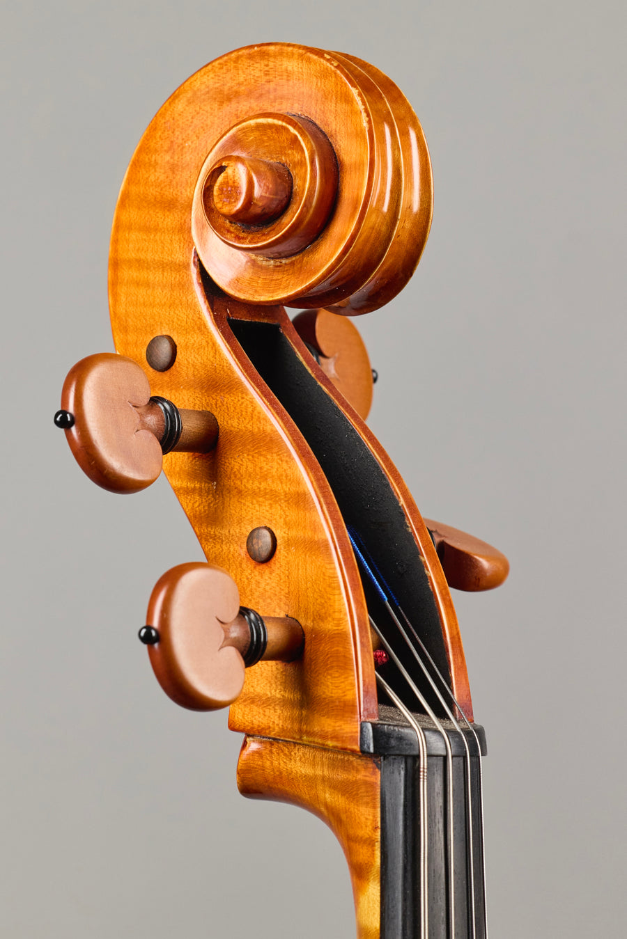 A Beautiful Italian Cello By Giancarlo Gozzo, Venice 2020.