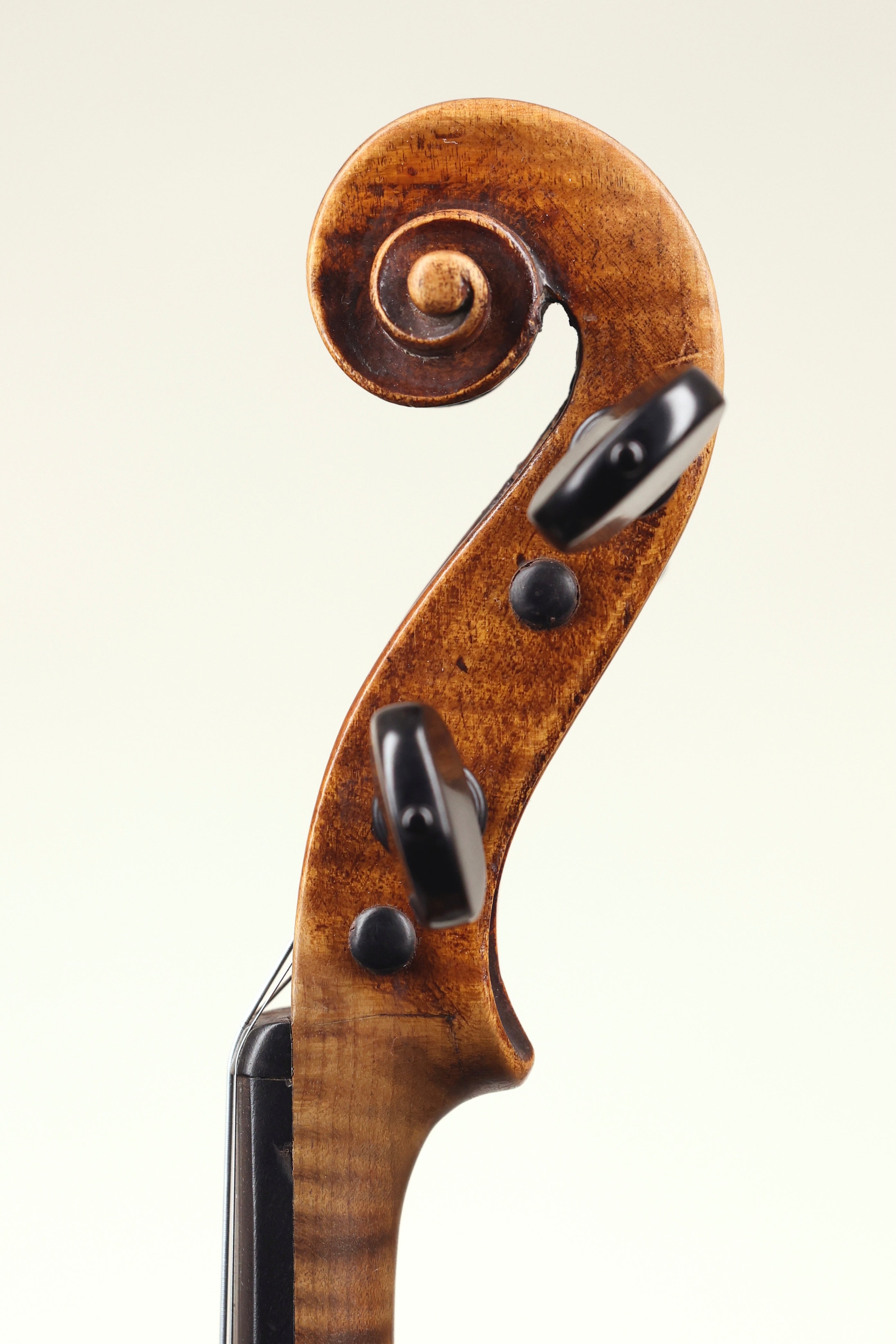 markneukirchne-7629-
