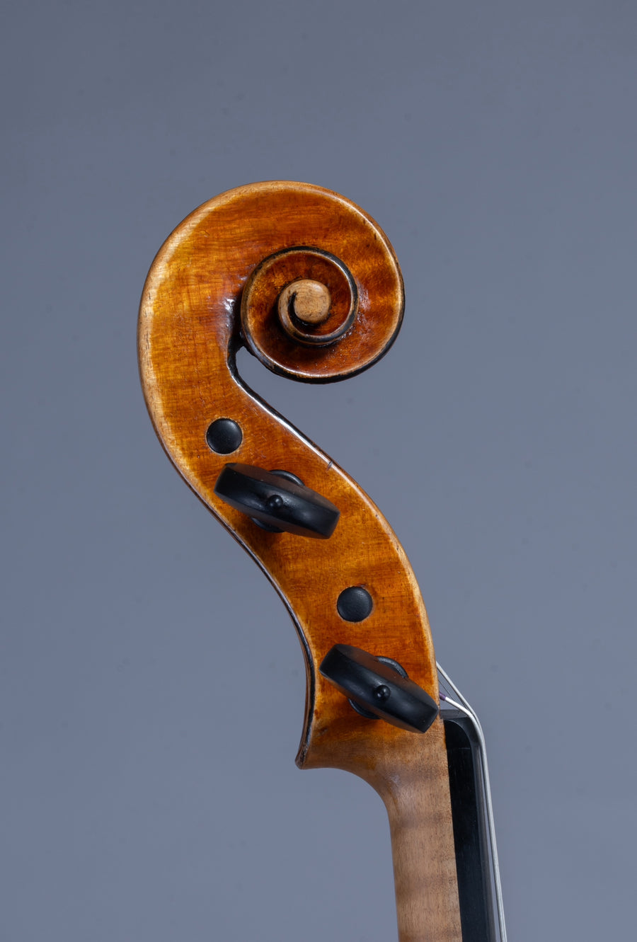 A Great American Violin By 7th Generation Maker, Hannah Fenn - 2023.