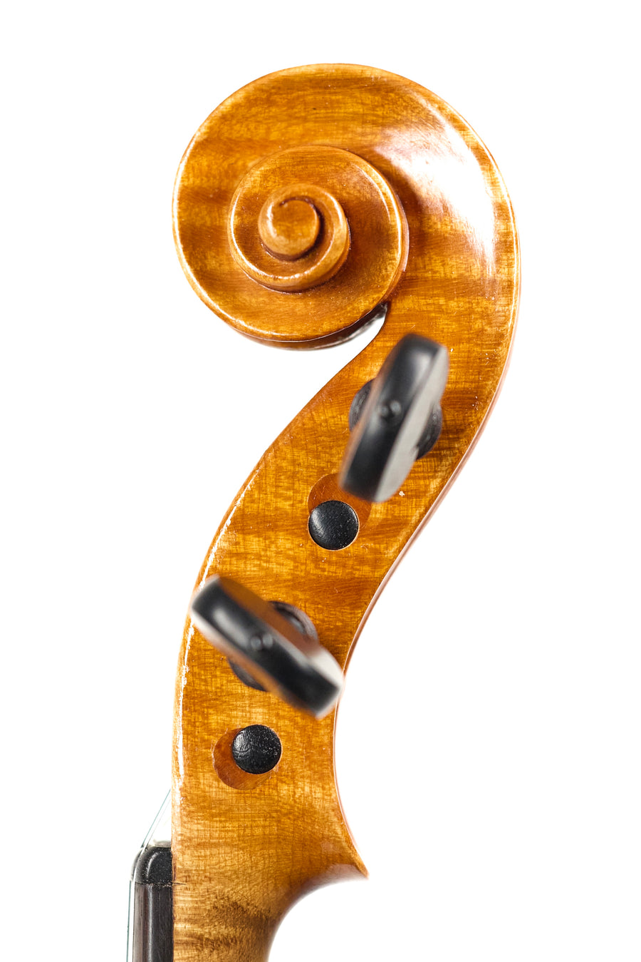 An Italian Violin By Giustino Dal Canto, 1933.