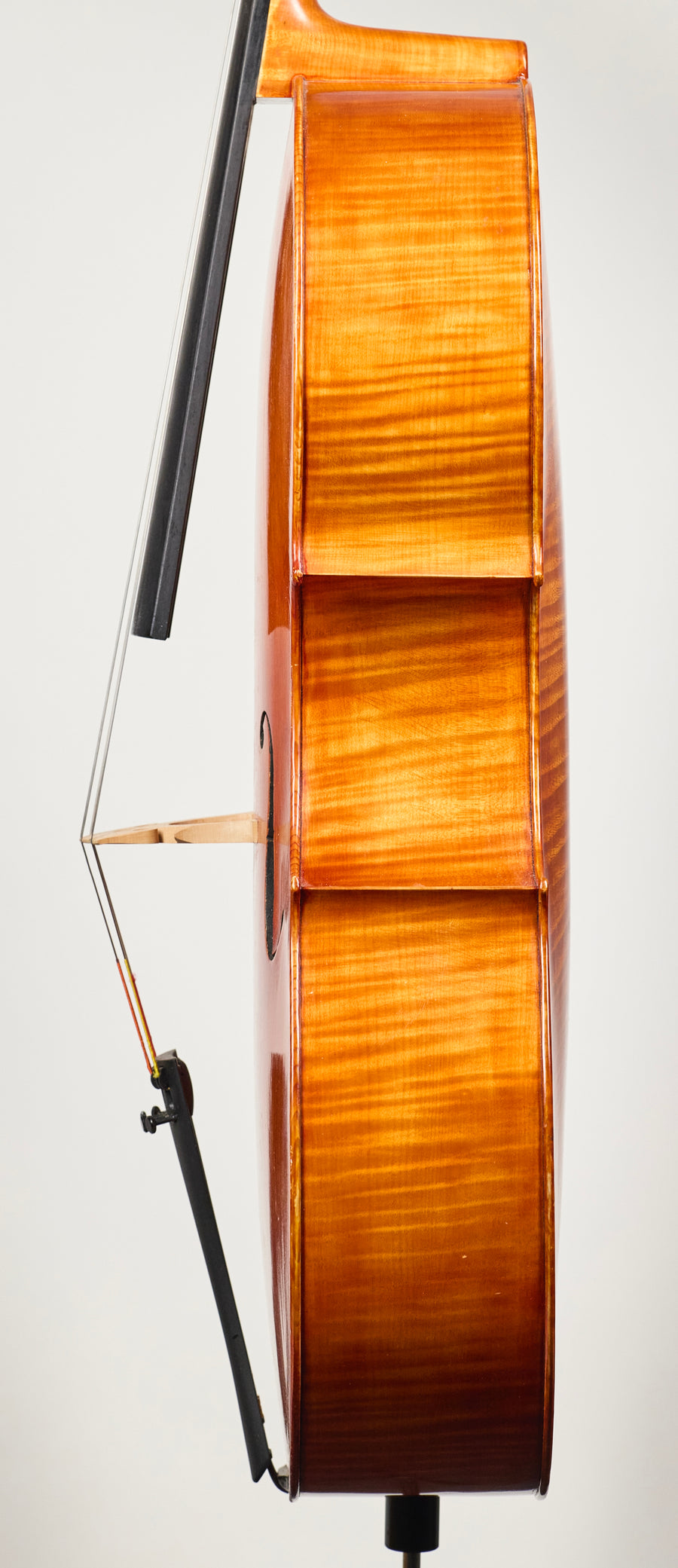 A Beautiful Italian Cello By Giancarlo Gozzo, Venice 2020.