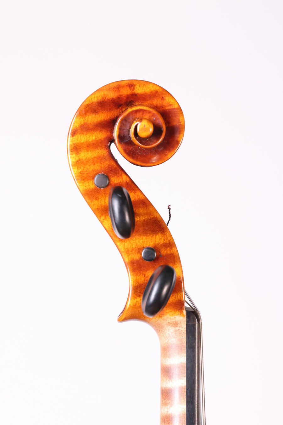 A Modern Polish Violin By Jan Bobak, 1995.