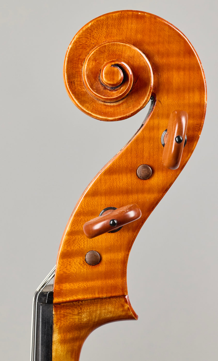 A Beautiful Italian Cello By Giancarlo Gozzo, Venice 2020.