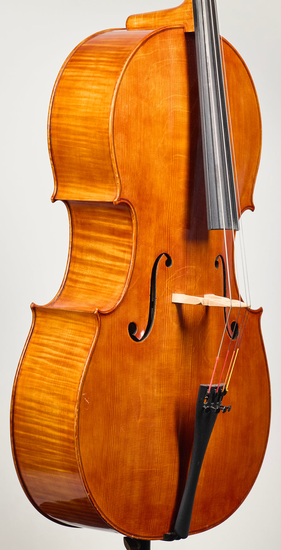 A Beautiful Italian Cello By Giancarlo Gozzo, Venice 2020.