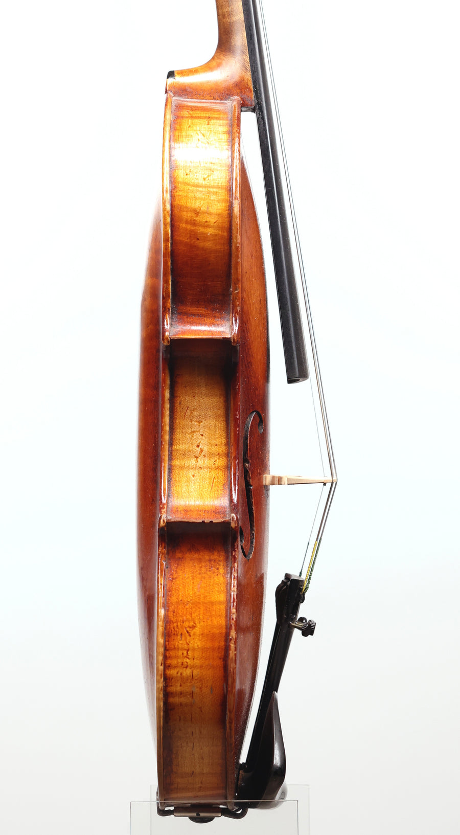 Circa 1900 7/8 Violin from Schonbach