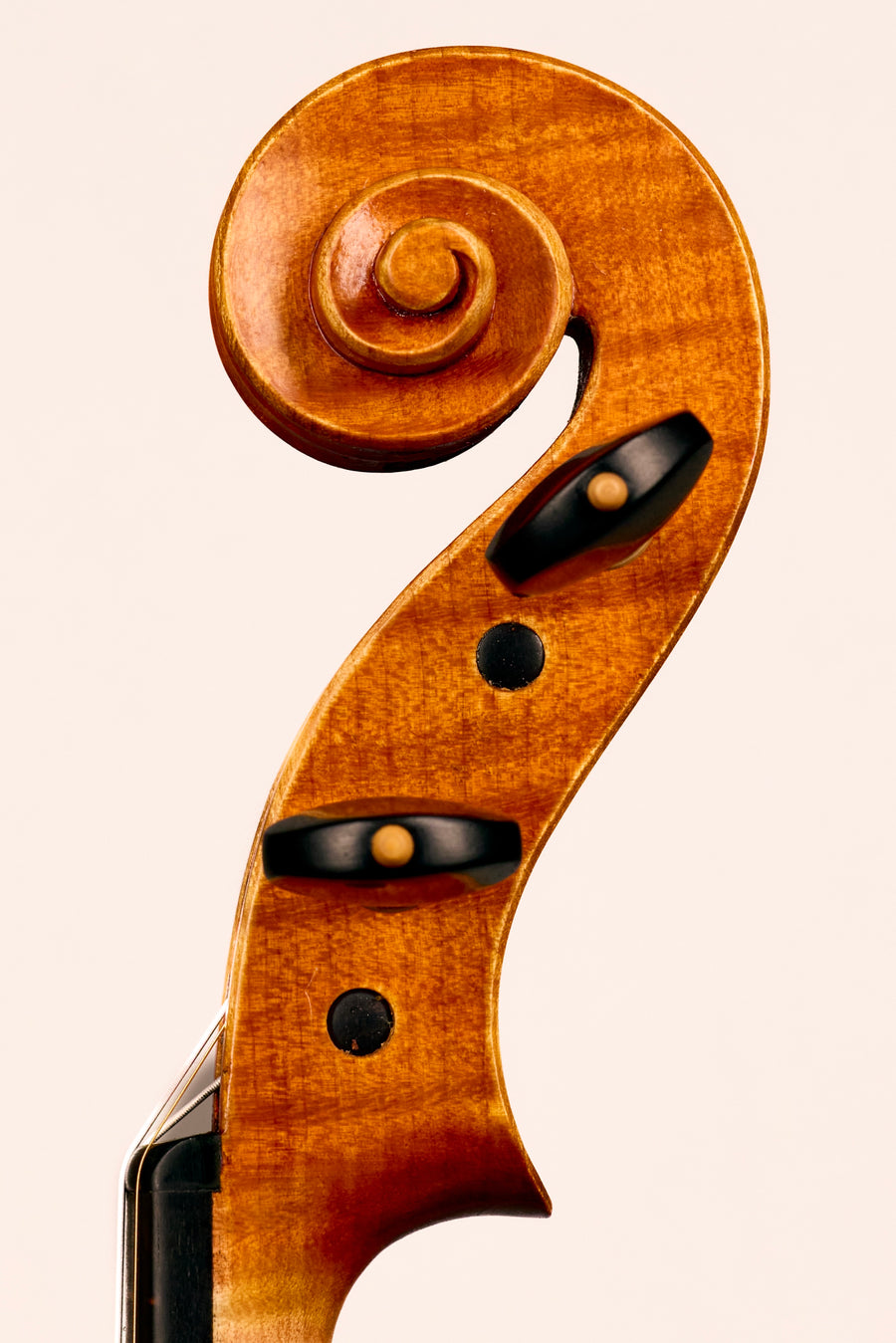 A Fine Contemporary Italian Violin by Nicolo Formaggia, 2025. – Cohen ...