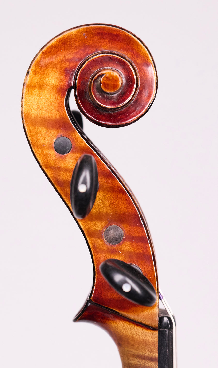 A Good Canadian Viola By William Knaggs in Toronto, 1899. 16.”