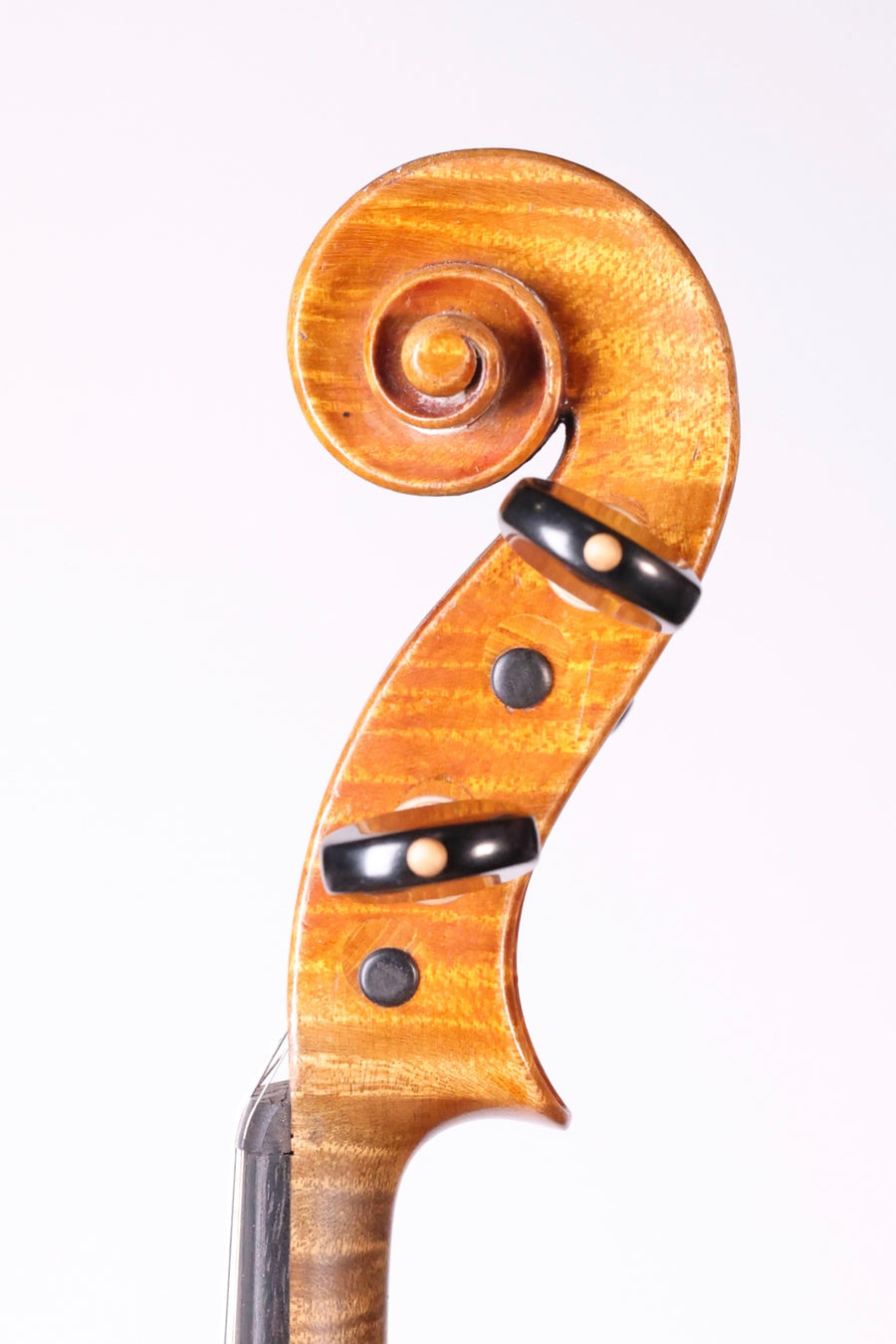 A Good Violin from Markneukirchen, Early 20th Century.