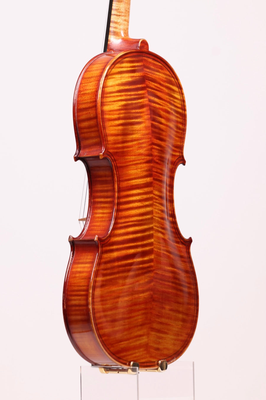 Compare Several Violins
