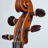 Salzard violin deals