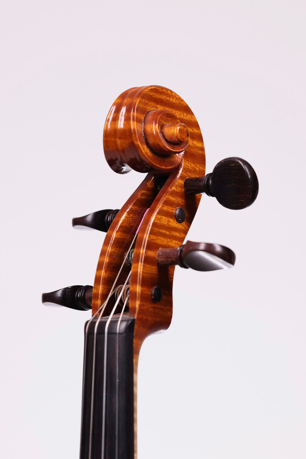 A Modern Cremonese Violin By Marco Maria Gastaldi – Cohen Violins