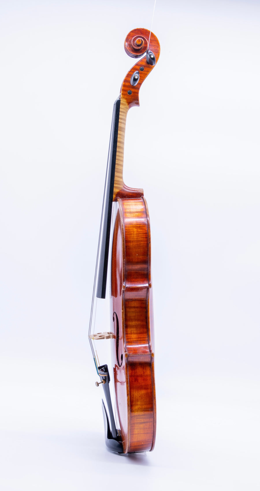A Good Violin by Wenzel Fuchs, Germany
