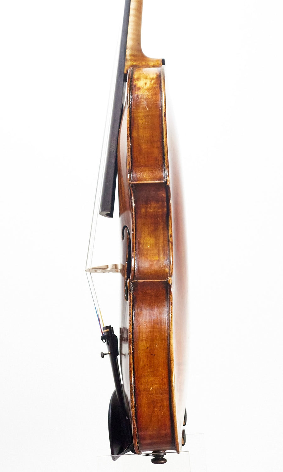 A Rare Violin by Giuseppe & Antonio Gagliano, 1798. (Composite)