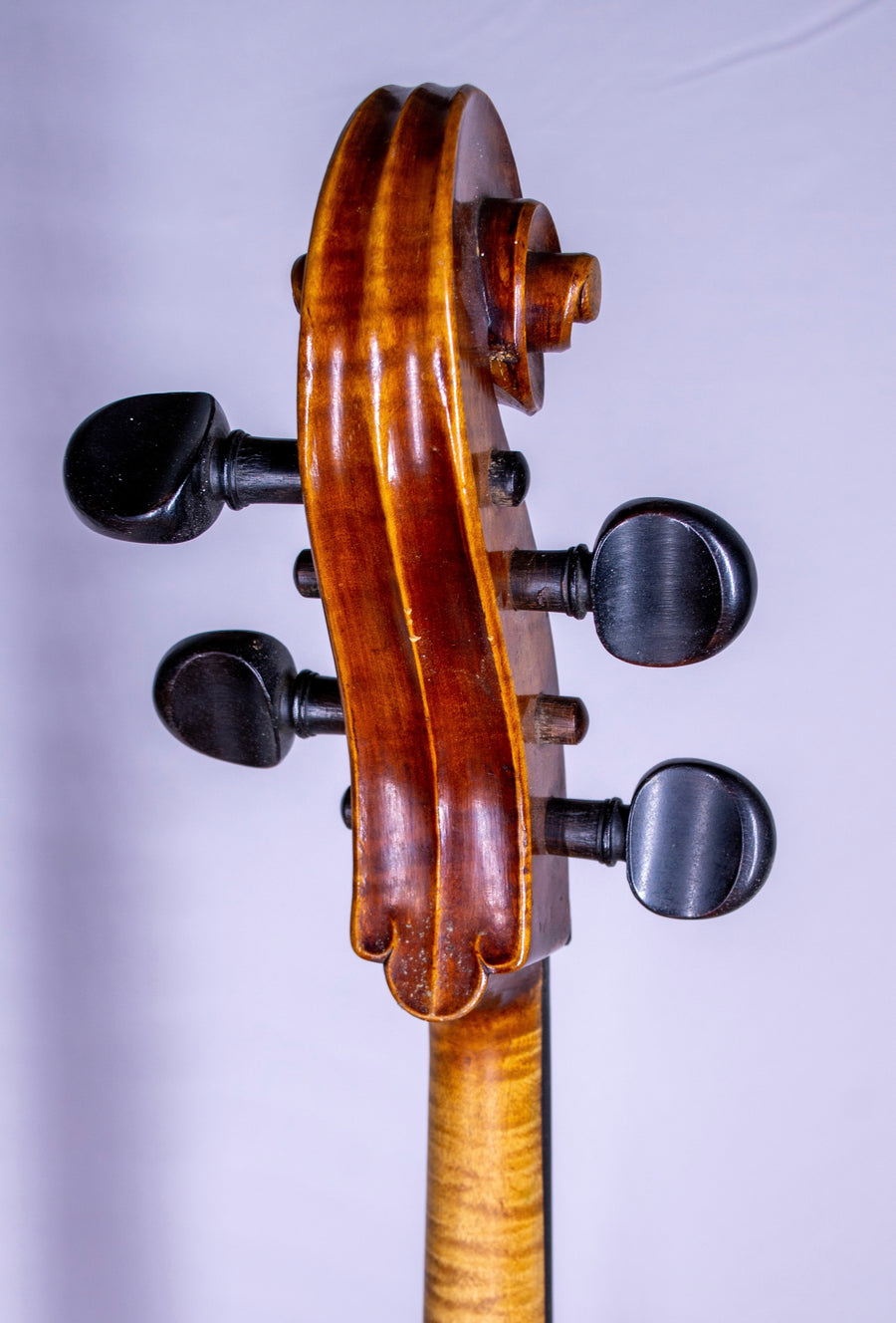 Herman Lowendall Cello, First Decade 20th Century