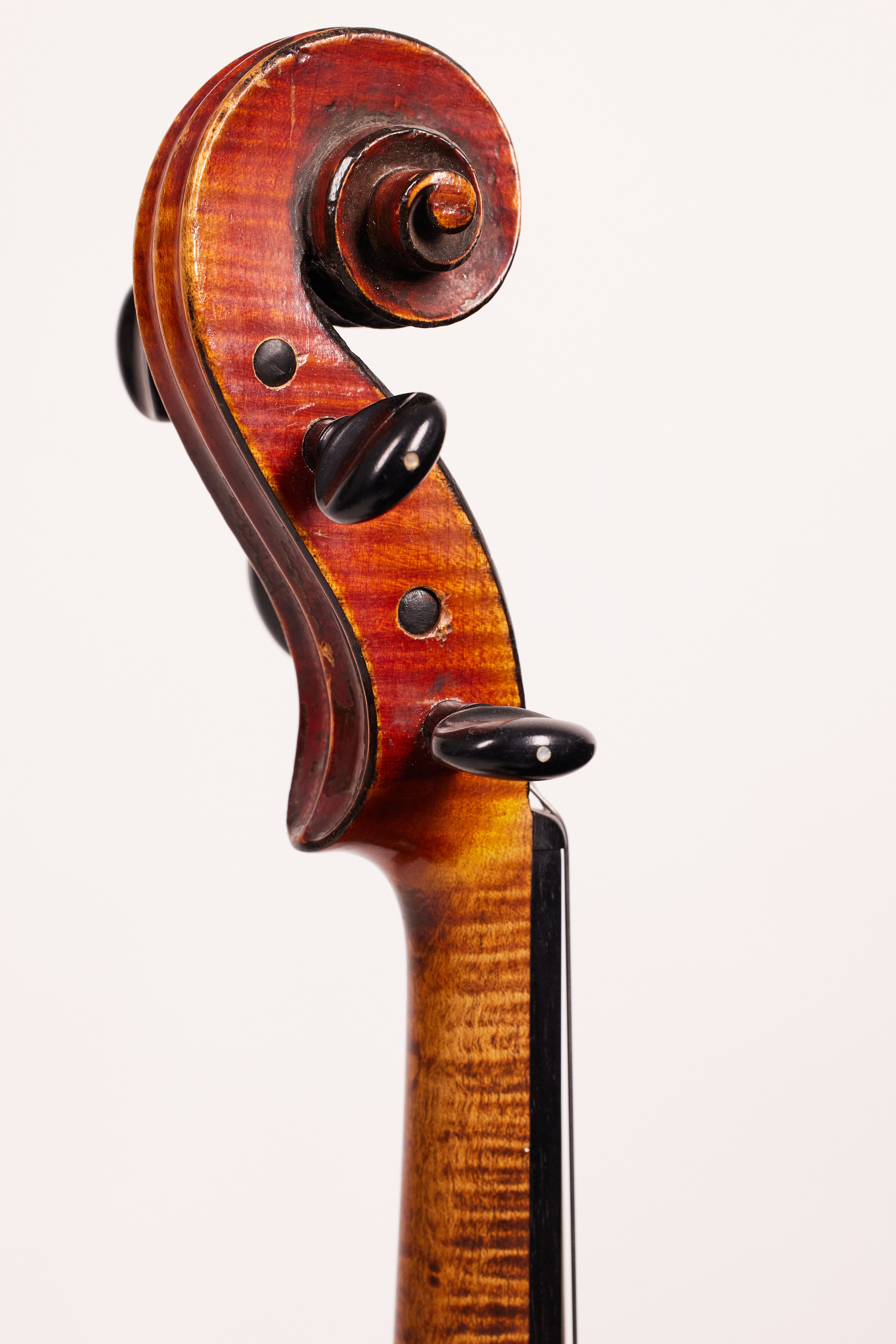 再入荷のおすすめ最新情報 Wood Brazil △弓 ParisianEye European Giovanni Viola（Dario 弦楽器