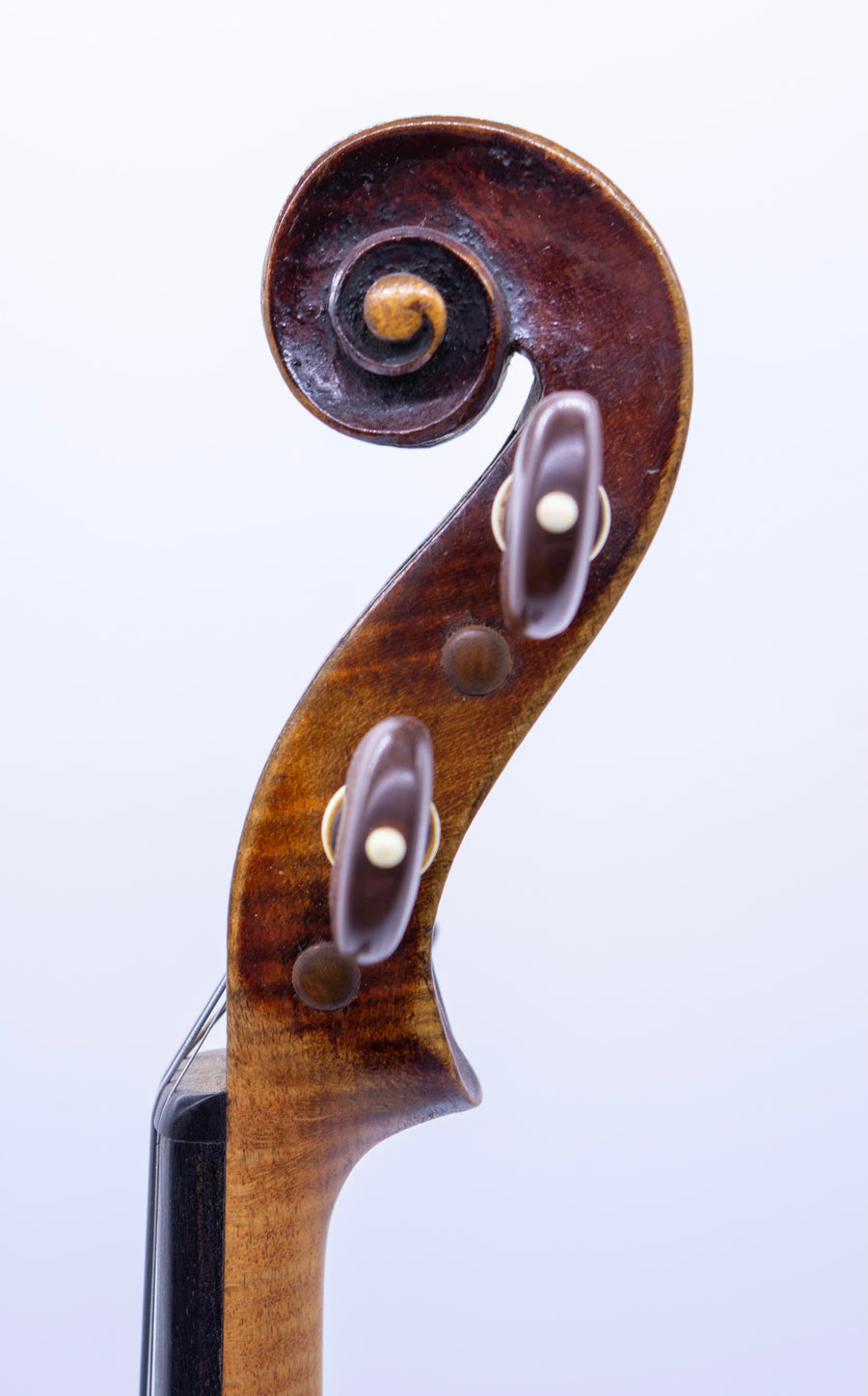An Unusual German Violin After Rigat Rubus, Circa 1900.